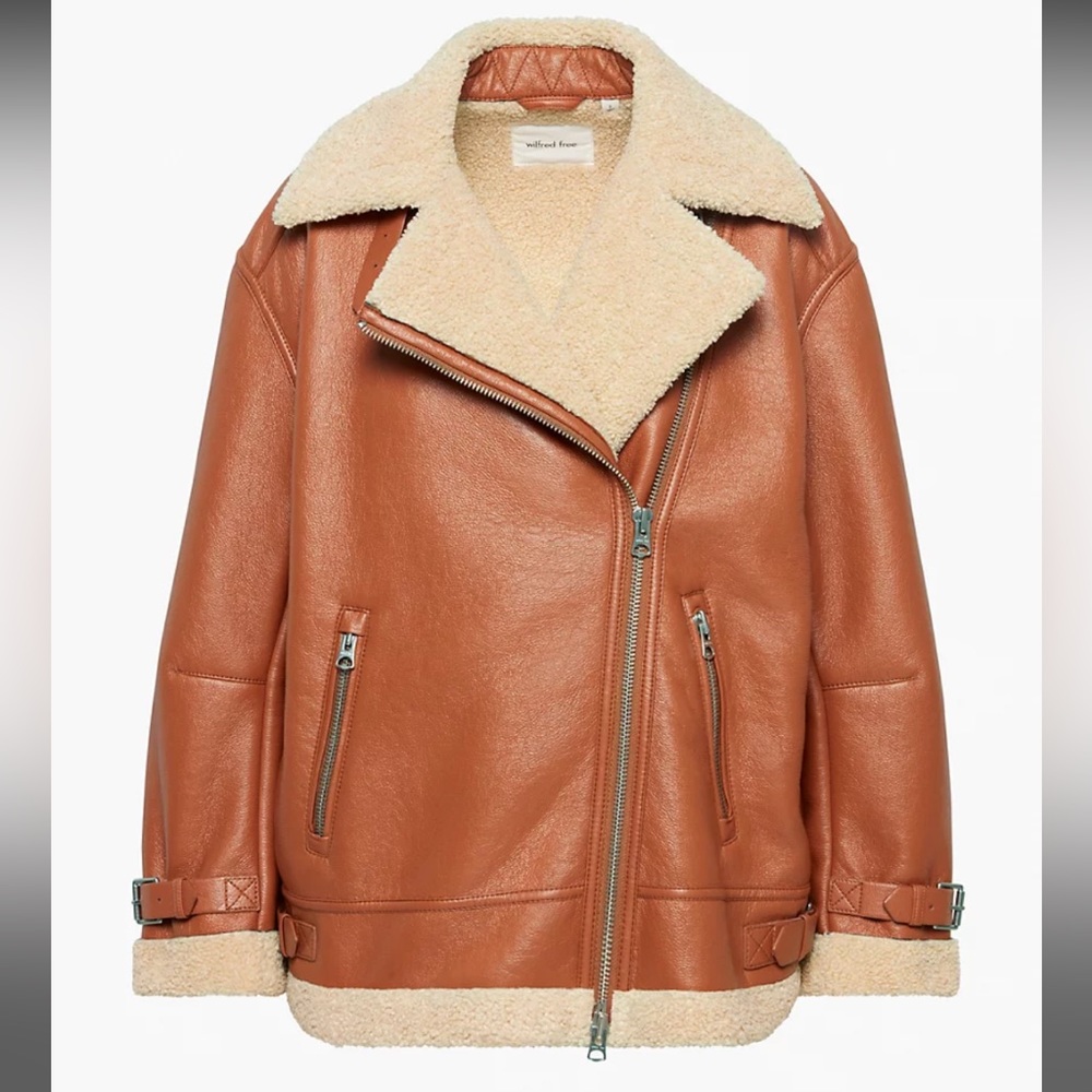 Aritzia Shearling Aviator Jacket